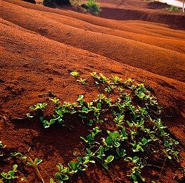 《上古卷轴OL》DLC死亡之地发布 湮灭之门剧情结束